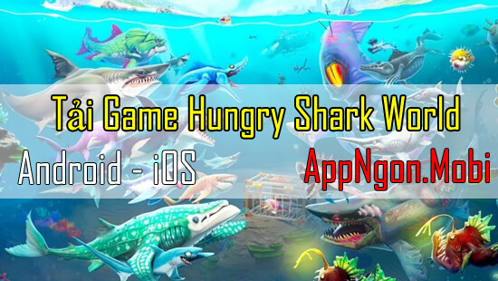 noi-dung-chinh-hungry-shark-world
