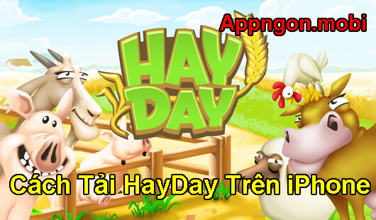 cach-tai-hayday-tren-iphone-mien-phi